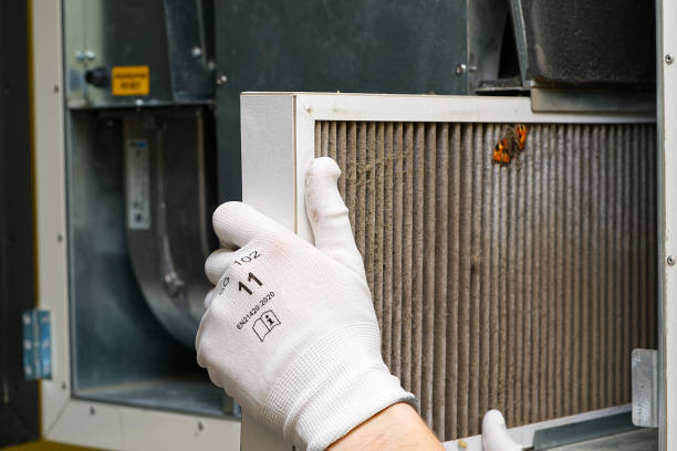 Air Duct Mold Removal in Coon Rapids, IA