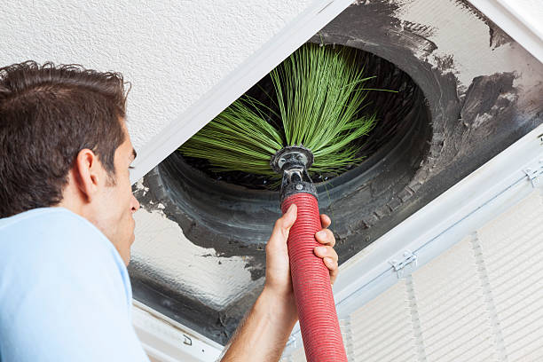 Best Air Duct Mold Removal  in Coon Rapids, IA
